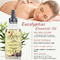 Huile organique de massage de soins de la peau d'eucalyptus pour la femelle